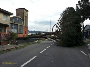 La situazione dopo il tornado di vento