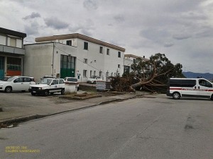 La situazione dopo il tornado di vento