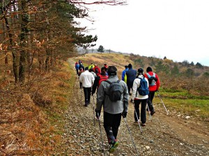 Maratonina del tortello