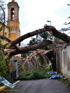 Una delle zone più colpite dalla “Katrina toscana”