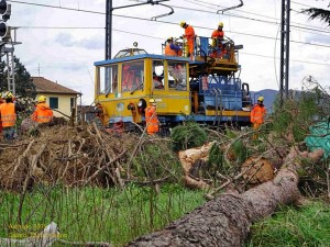 Una delle zone più colpite dalla “Katrina toscana”