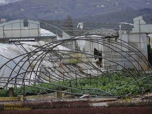 Una delle zone più colpite dalla “Katrina toscana”