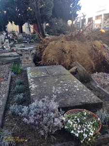 Cimitero comunale… sotto assedio