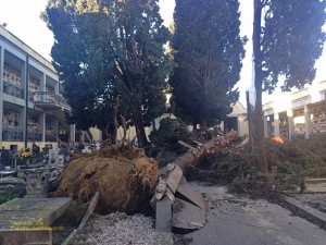 Cimitero comunale… sotto assedio