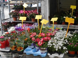 Esposizione e mercato di piante e fiori