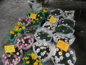 Esposizione e mercato di piante e fiori