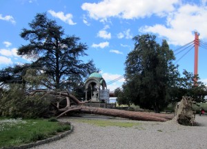 Alle Cascine i “Giochi di Carnasciale”