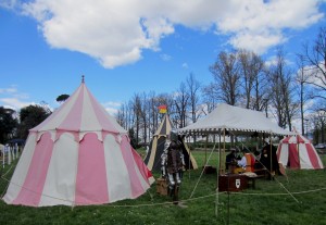 Alle Cascine i “Giochi di Carnasciale”