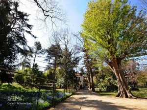 Riapre il Giardino dei Semplici