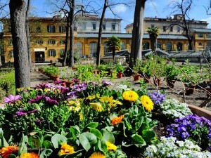 Riapre il Giardino dei Semplici