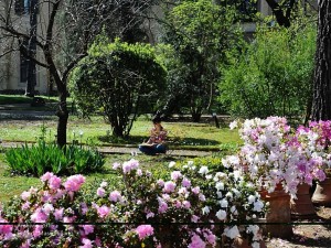 Riapre il Giardino dei Semplici