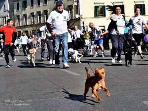 XXVII edizione Maratonina Città di Prato