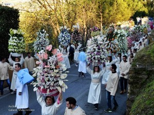 Processione delle Paniere