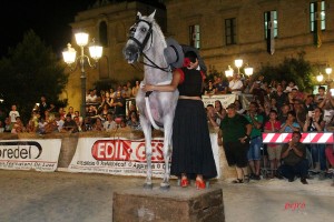 Il palio delle contrade 2015