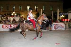 Il palio delle contrade 2015