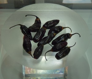 Rieti Cuore Piccante – 5ª mostra del peperoncino “Super Hot”