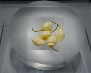 Rieti Cuore Piccante – 5ª mostra del peperoncino “Super Hot”