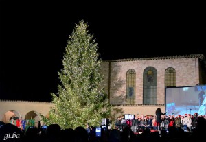 Papa Francesco accende via web l’albero di Natale per i migranti