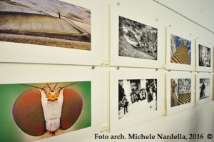 Quinta edizione di <i>“Foggia Fotografia – La Puglia senza confini”</i>