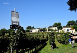 Eccellenze italiane: Tenuta Cavalier Pepe