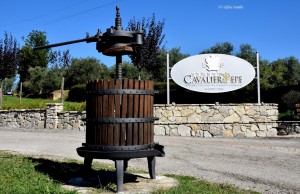 Eccellenze italiane: Tenuta Cavalier Pepe