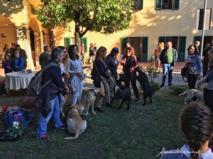 Open day della Scuola Cani Guida