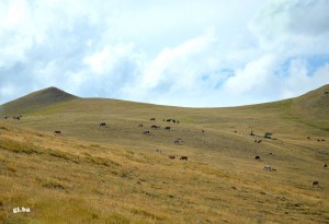 Ritorno a Castelluccio