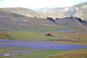 Ritorno a Castelluccio