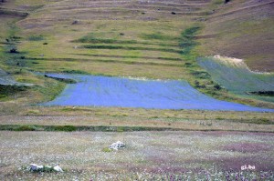 Ritorno a Castelluccio