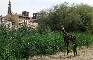 Animali fantastici in riva all’Arno