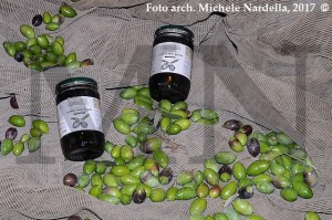 Omaggio alla <i>“Bella”</i>, oliva da tavola cerignolana
