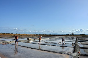 Salina di Cervia