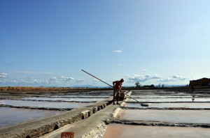 Salina di Cervia