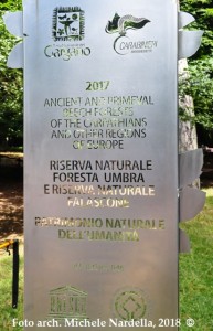 Primo anniversario delle faggete della Foresta Umbra nel patrimonio naturale Unesco