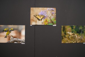 I colori dell’Aspromonte