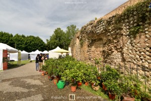 Terni in fiore 1ª edizione, mostra mercato del florovivaismo