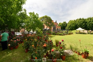 Terni in fiore 1ª edizione, mostra mercato del florovivaismo