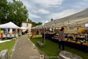 Terni in fiore 1ª edizione, mostra mercato del florovivaismo