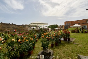 Terni in fiore 1ª edizione, mostra mercato del florovivaismo