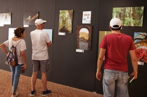 Aspromonte: identità e colori