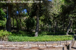Giornate FAI d’autunno 2019: il Vivaio forestale di Borgo Celano