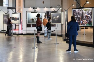 World Press Photo Exhibition 2020 a Bari