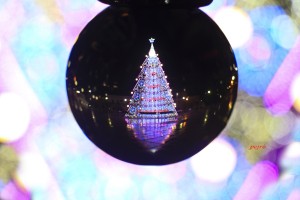 Si accendono le luci in città “Natale sotto Covid 19″