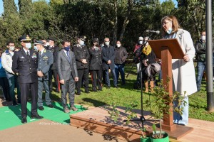 Festa dell’Albero